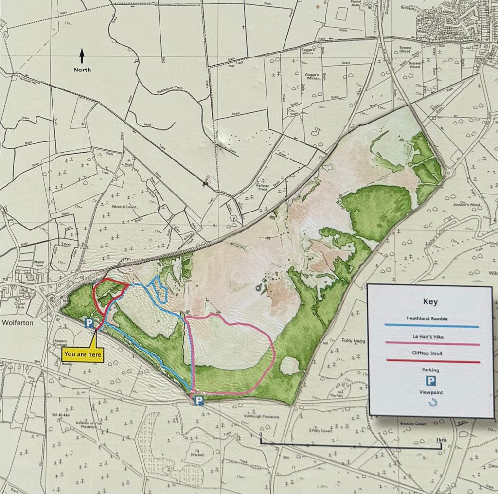 map showing walking routes